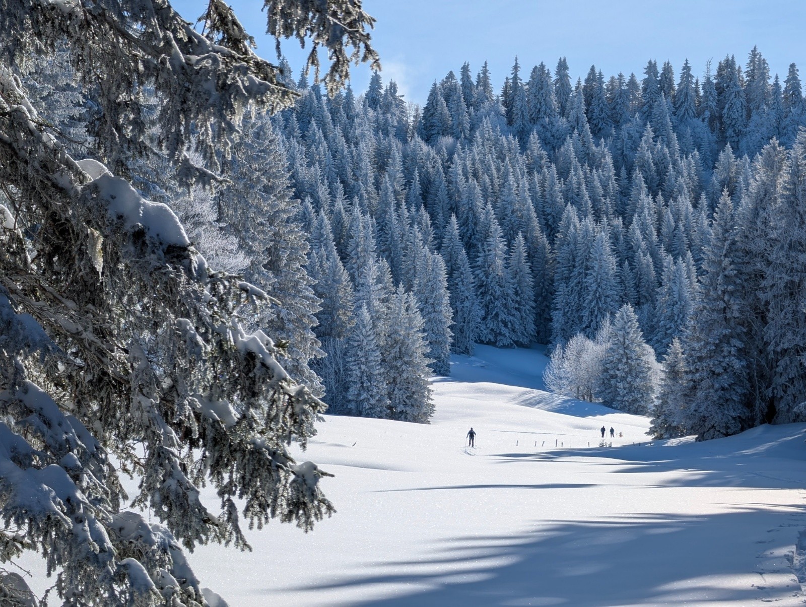 Arrivée sur la prairie d'Arpison