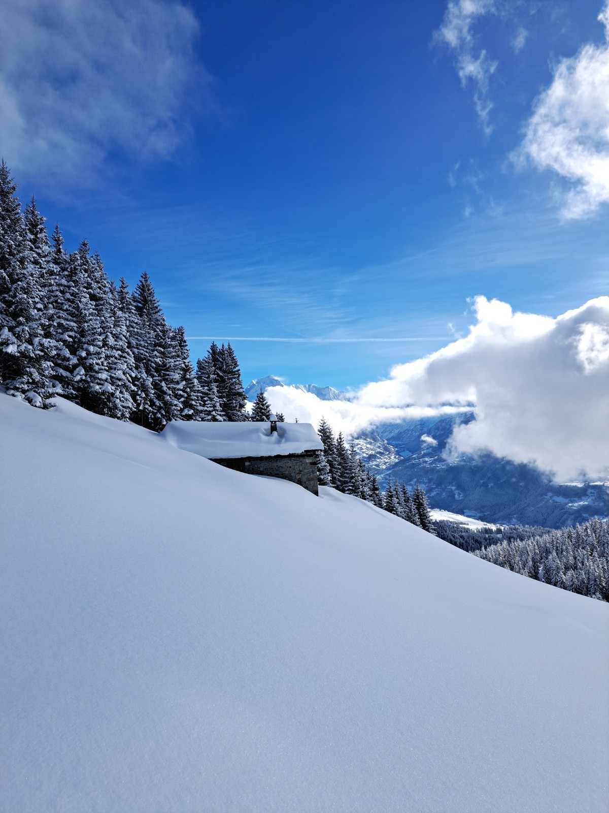 &nbsp;Le Pourri fume