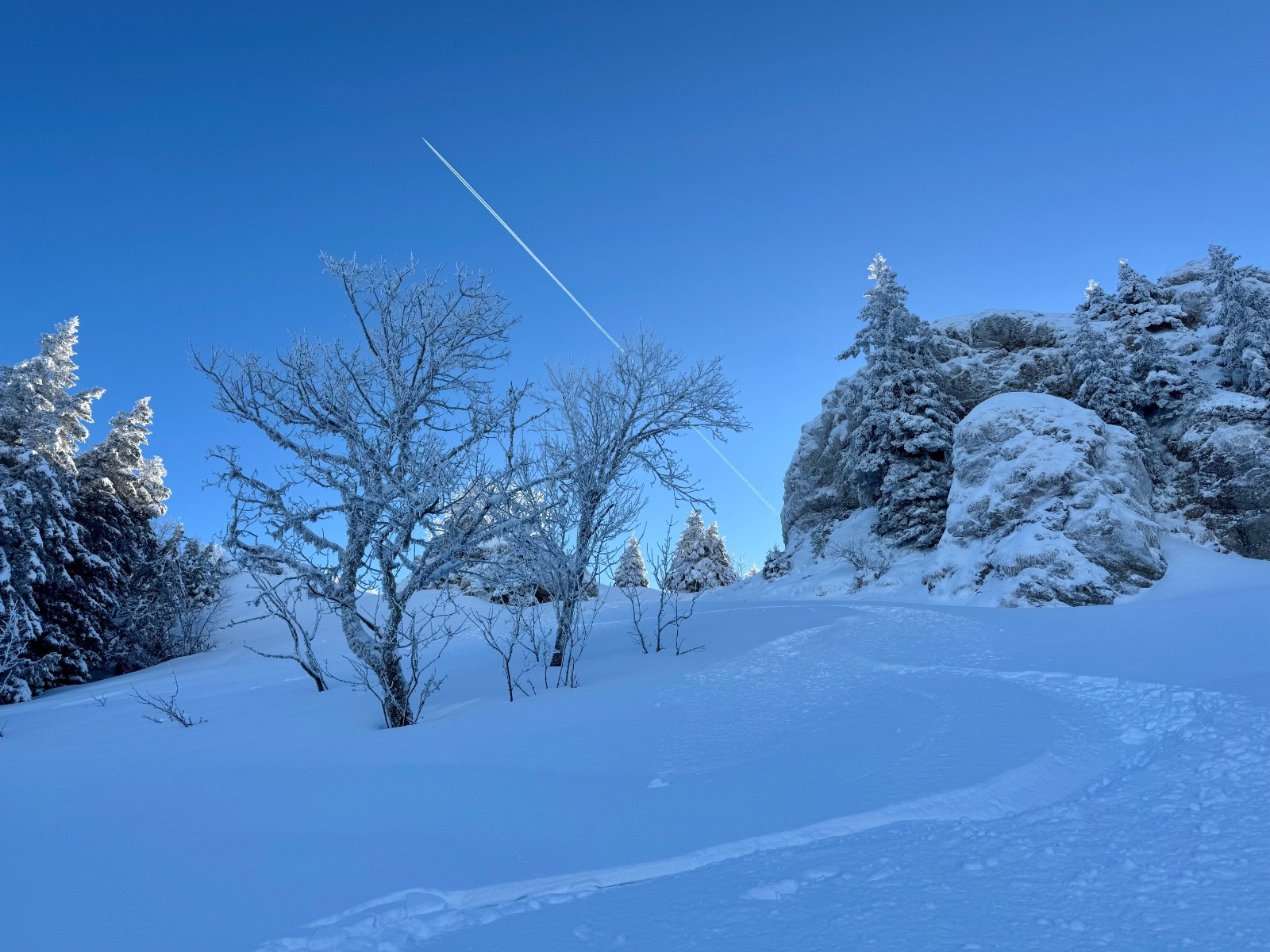 Première trace du jour dans Clos Colomb