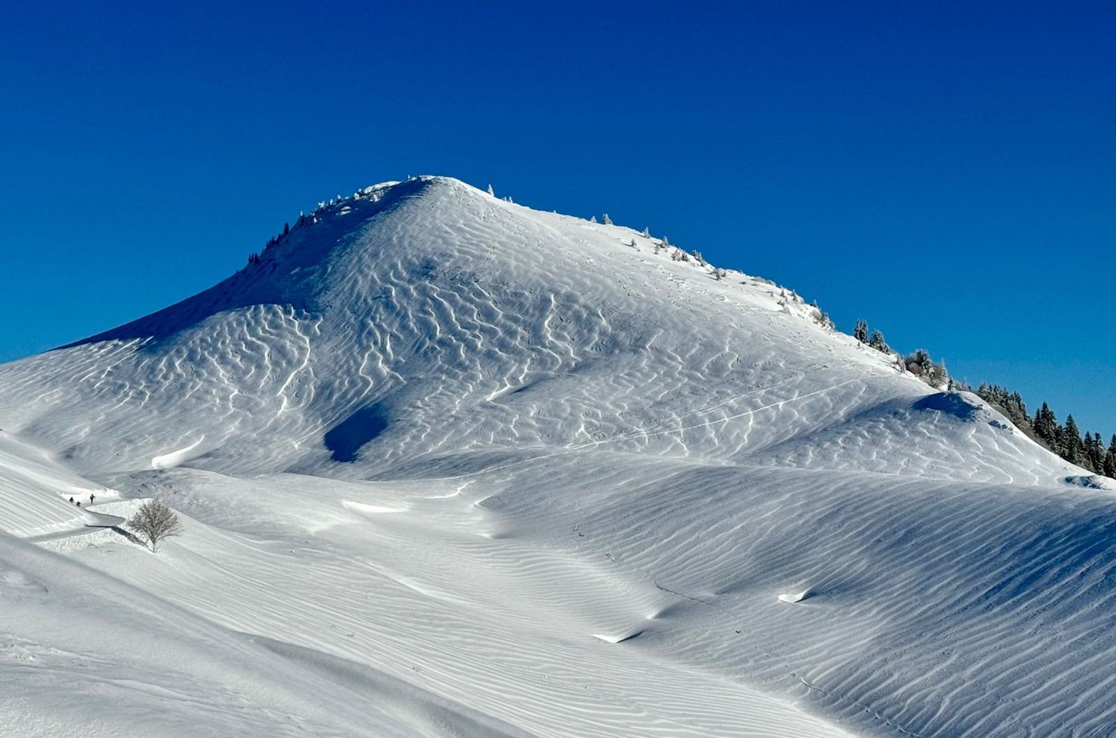 Travail du vent sur le Charmant Som