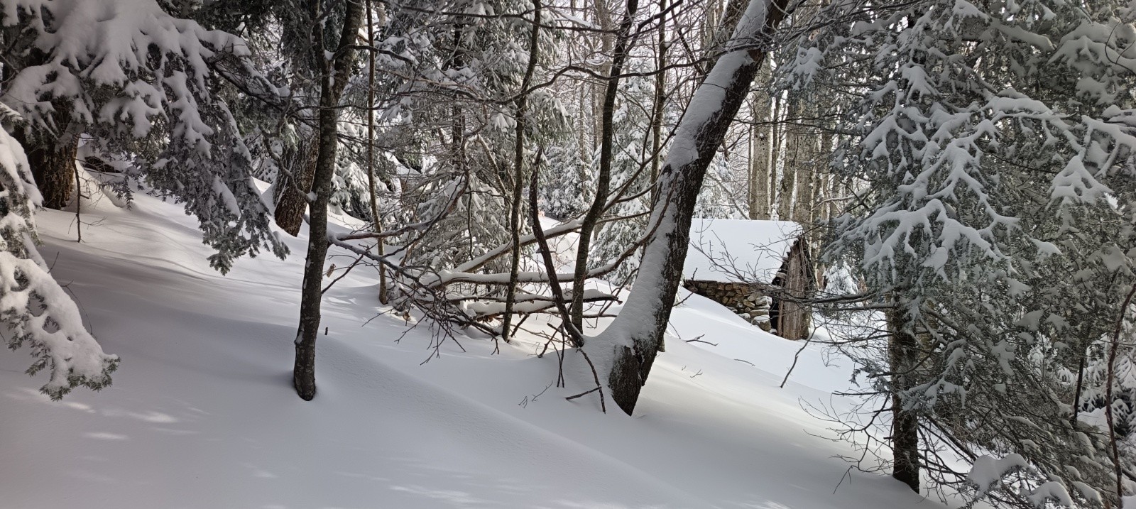 &nbsp;Cabane du Pré de l'âne selon Bige&nbsp;&nbsp;