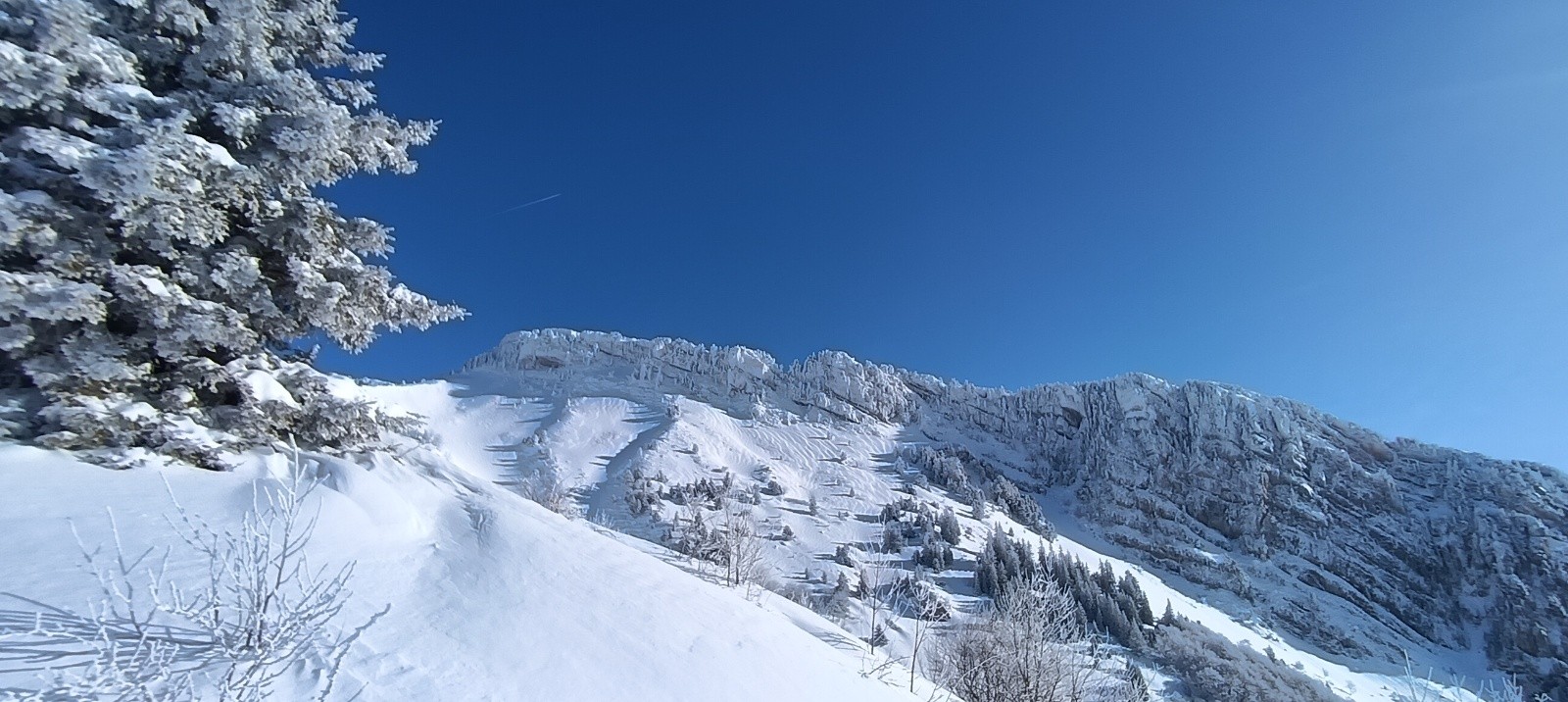 &nbsp;Sortie de la forêt&nbsp;