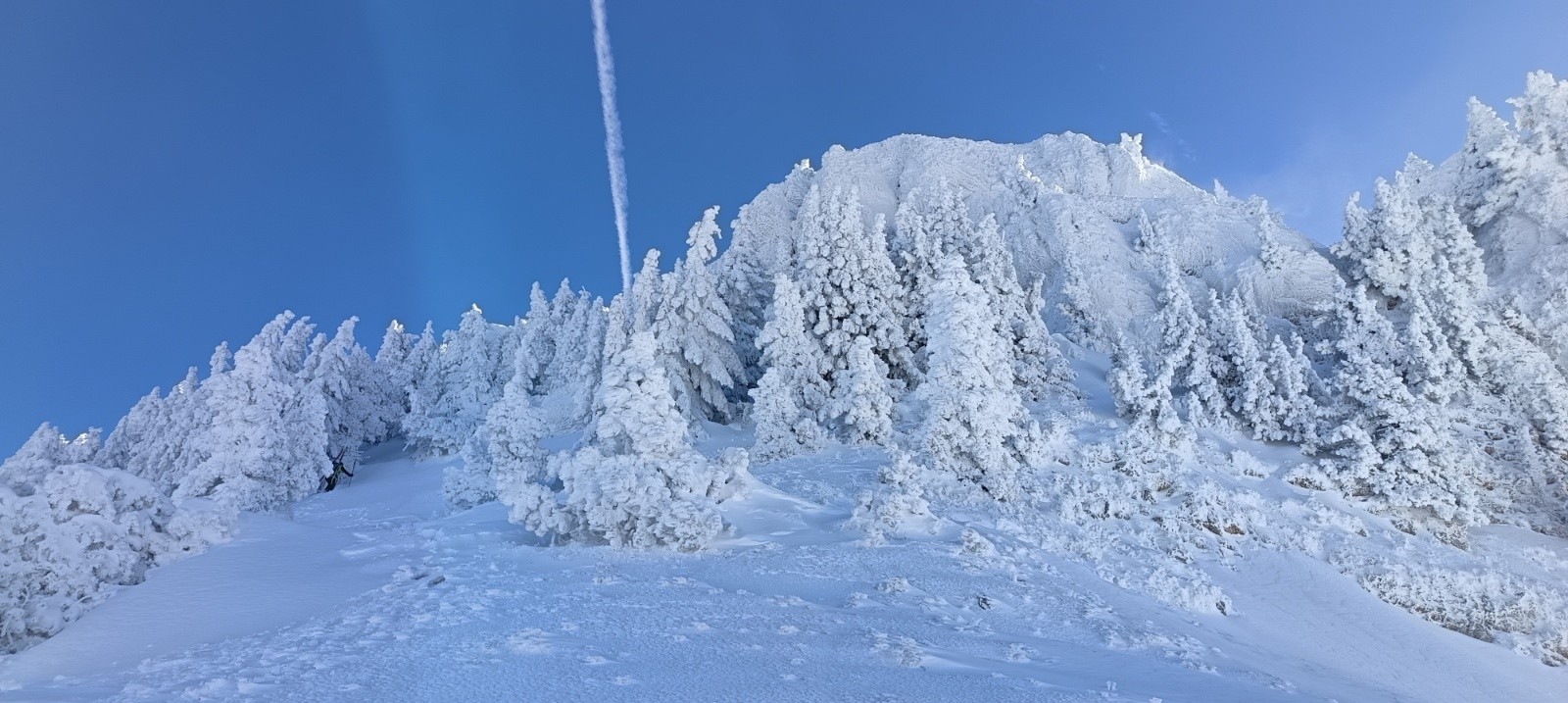 &nbsp;Meringues&nbsp;