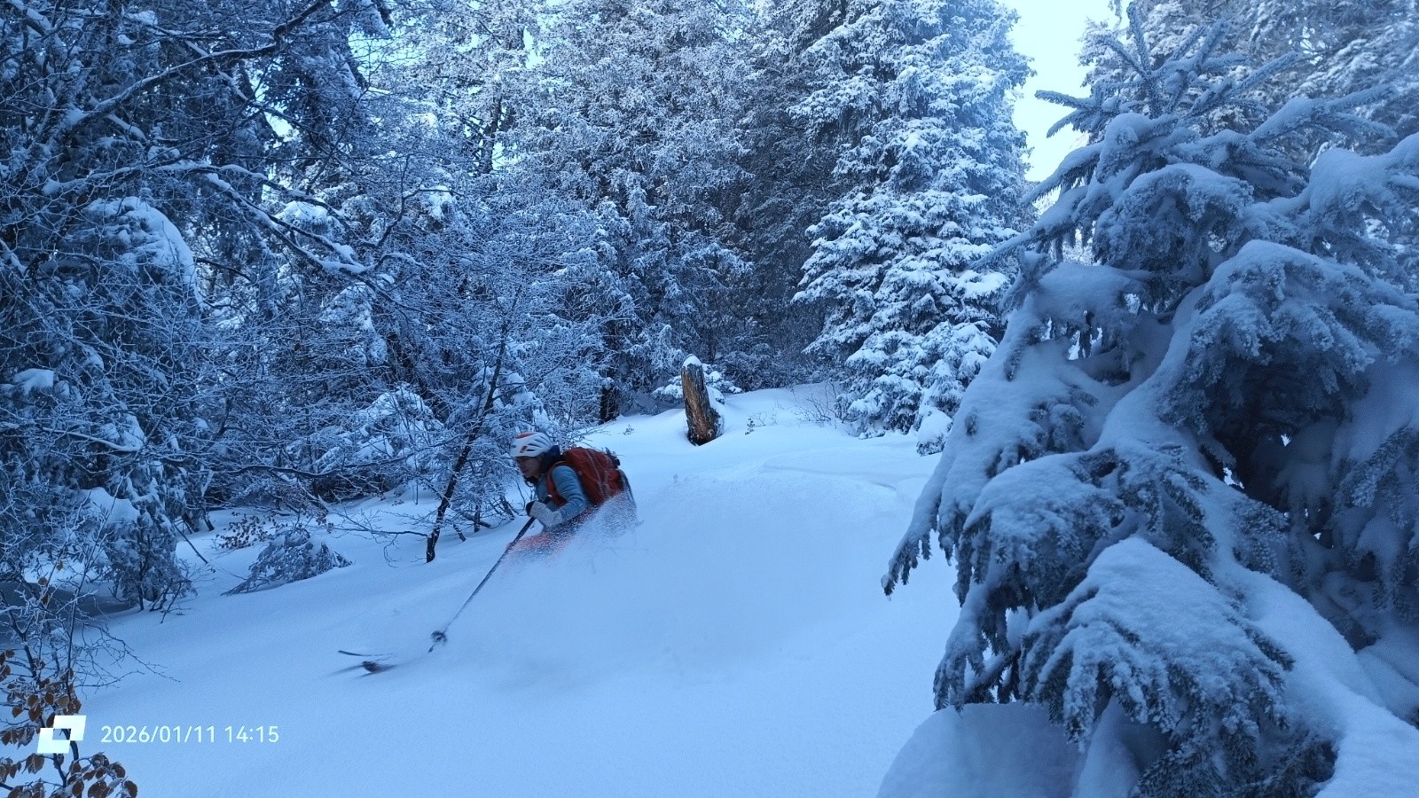 Le parcours secret&nbsp; 