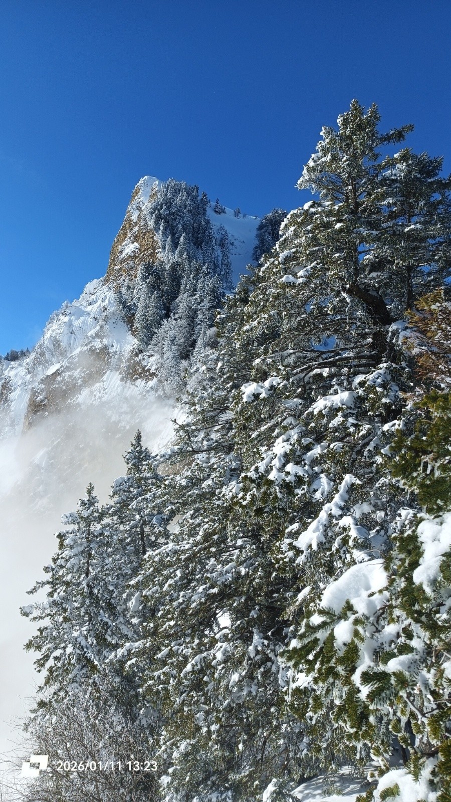 Retour sur les lieux du crimes 