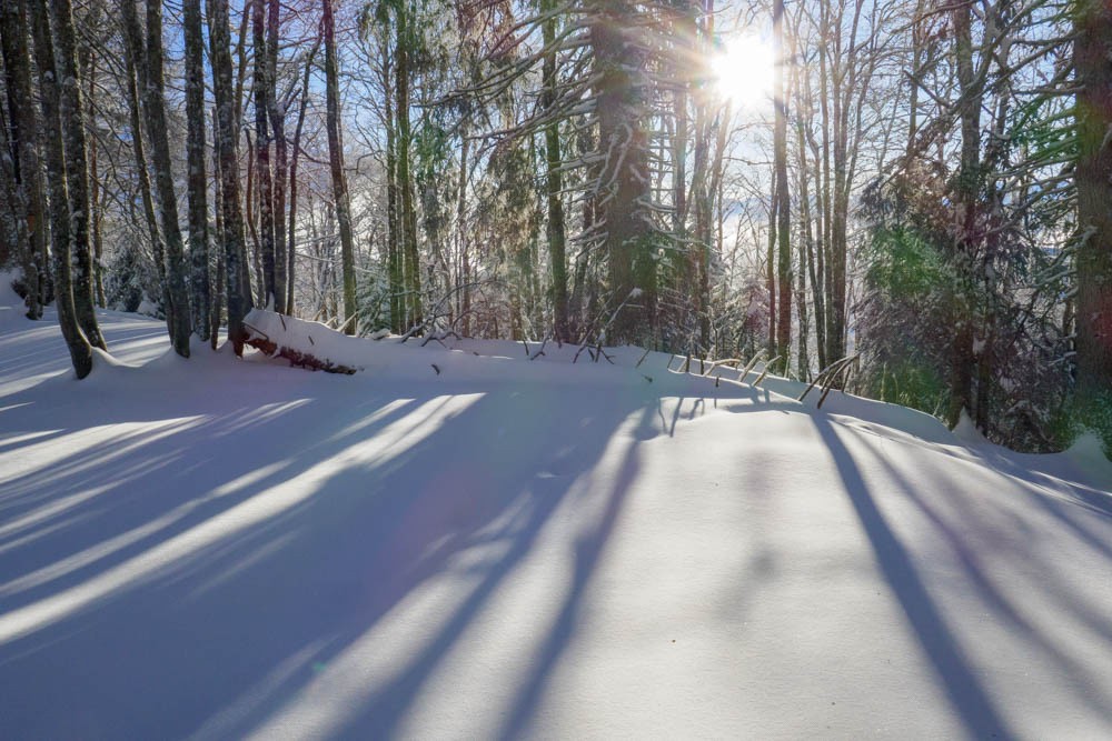 la Chartreuse qu'on aime