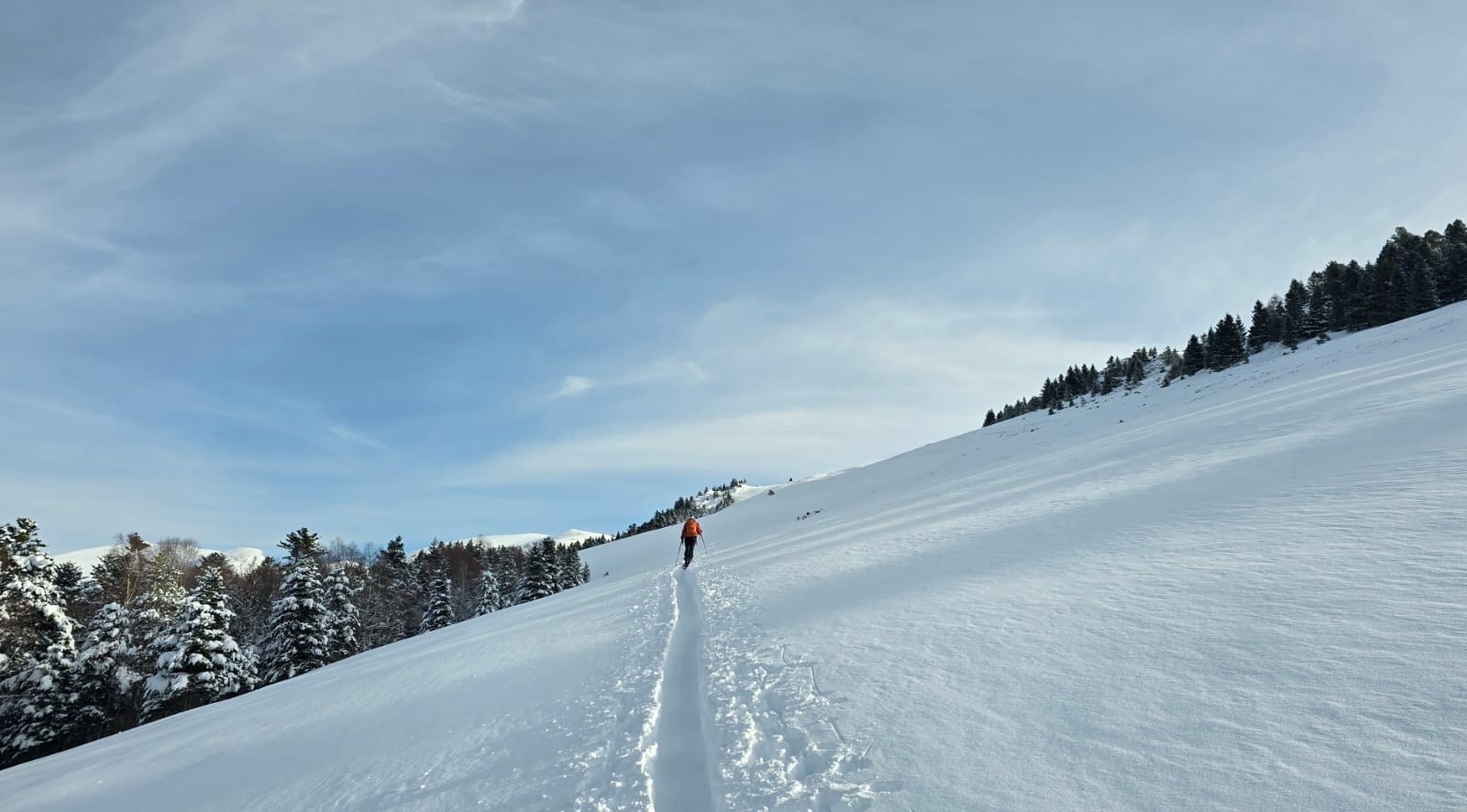 Seul devant&nbsp;&nbsp;