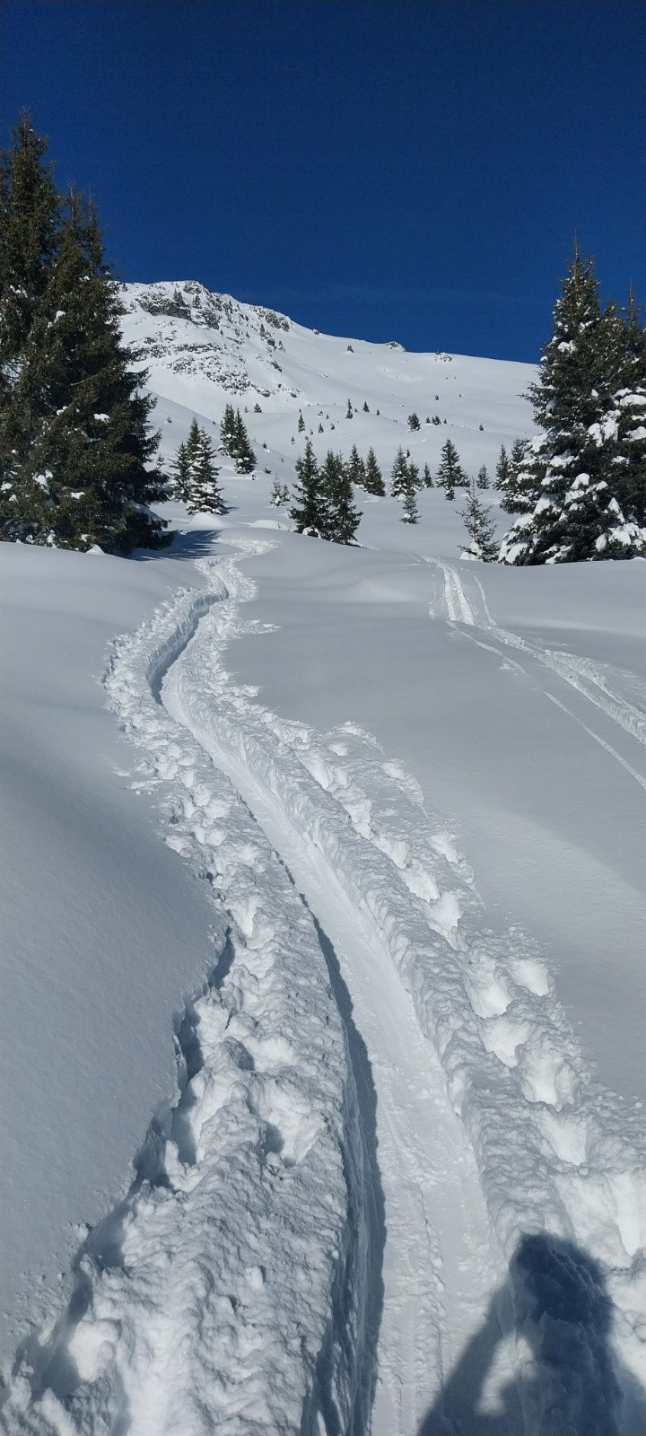 &nbsp;Sacrée tranchée