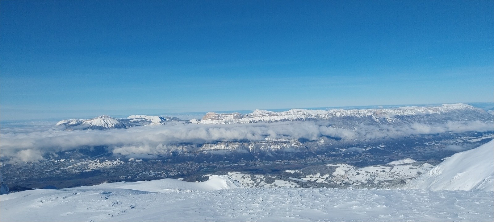 Chartreuse, belle😍&nbsp;