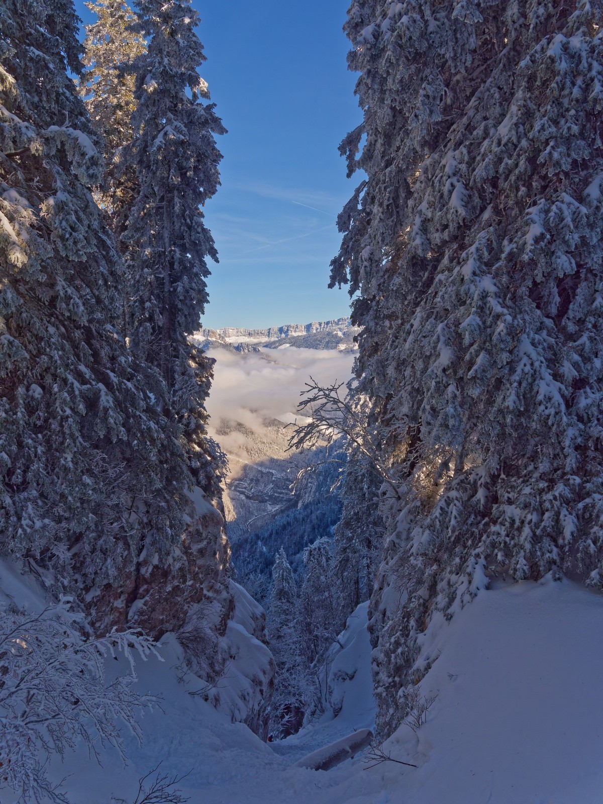 Un pas de la Biche bien rempli&nbsp;
