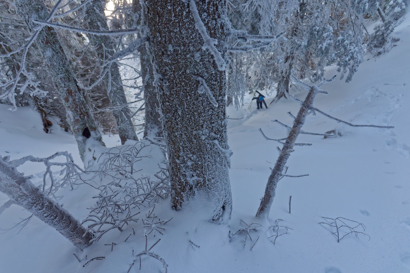 &nbsp;Le sentier (très) (bien) caché