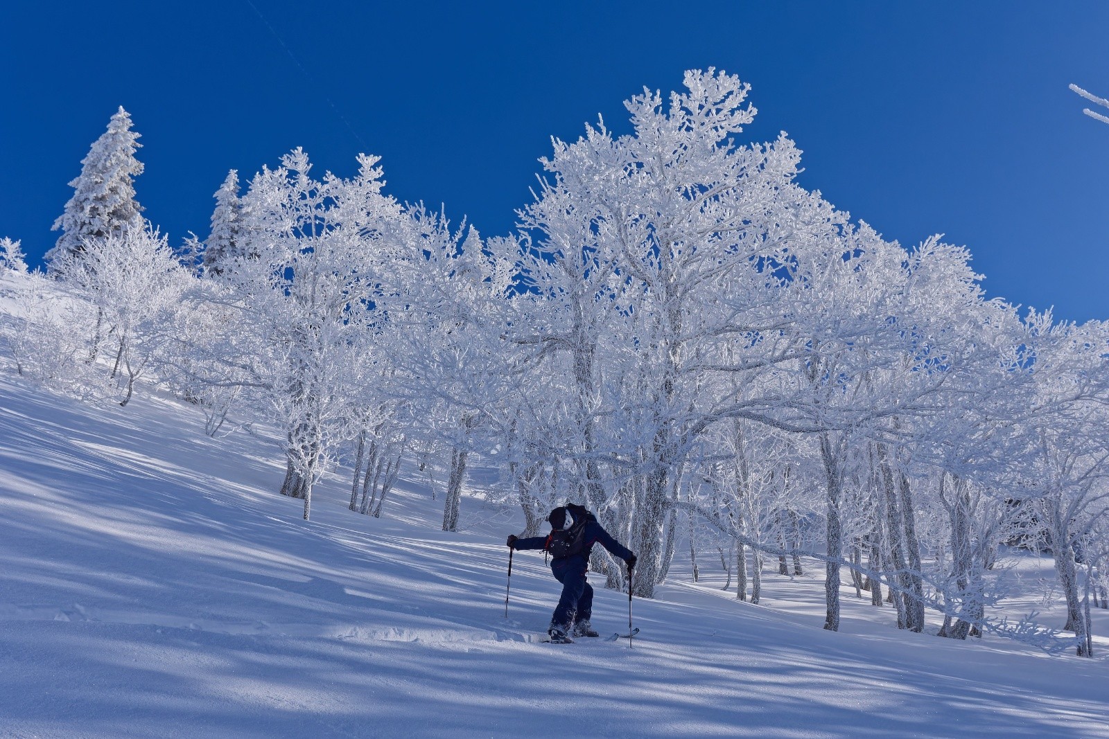 &nbsp;Vers la féérie