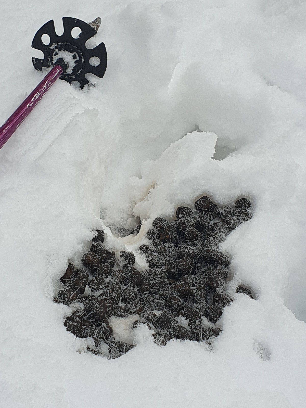 #5 Mais… mais… mais… qu Mais… mais… mais… qu'y c'est qu'a fait caca là ?