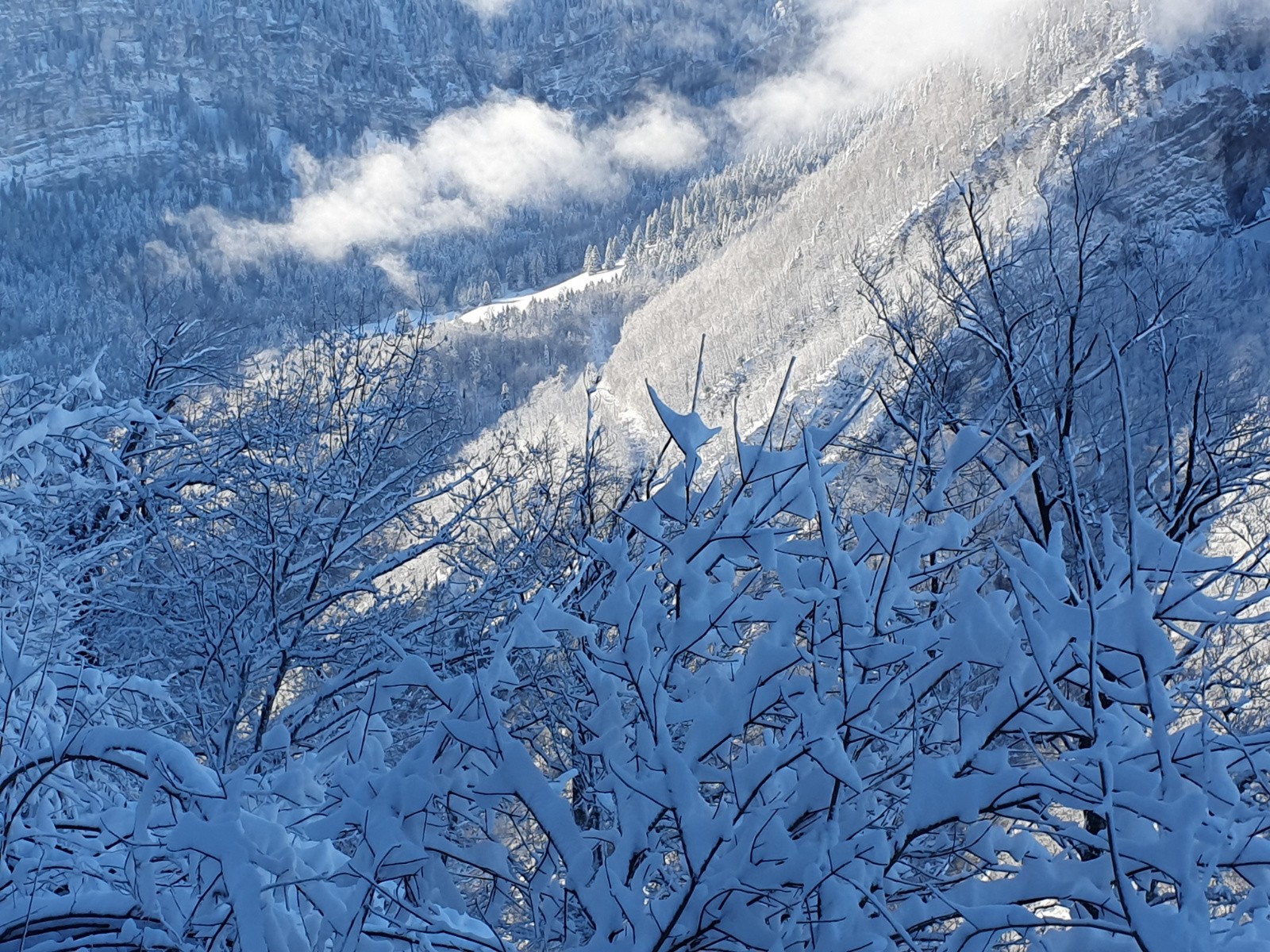 #2 Curière se lève Curière se lève