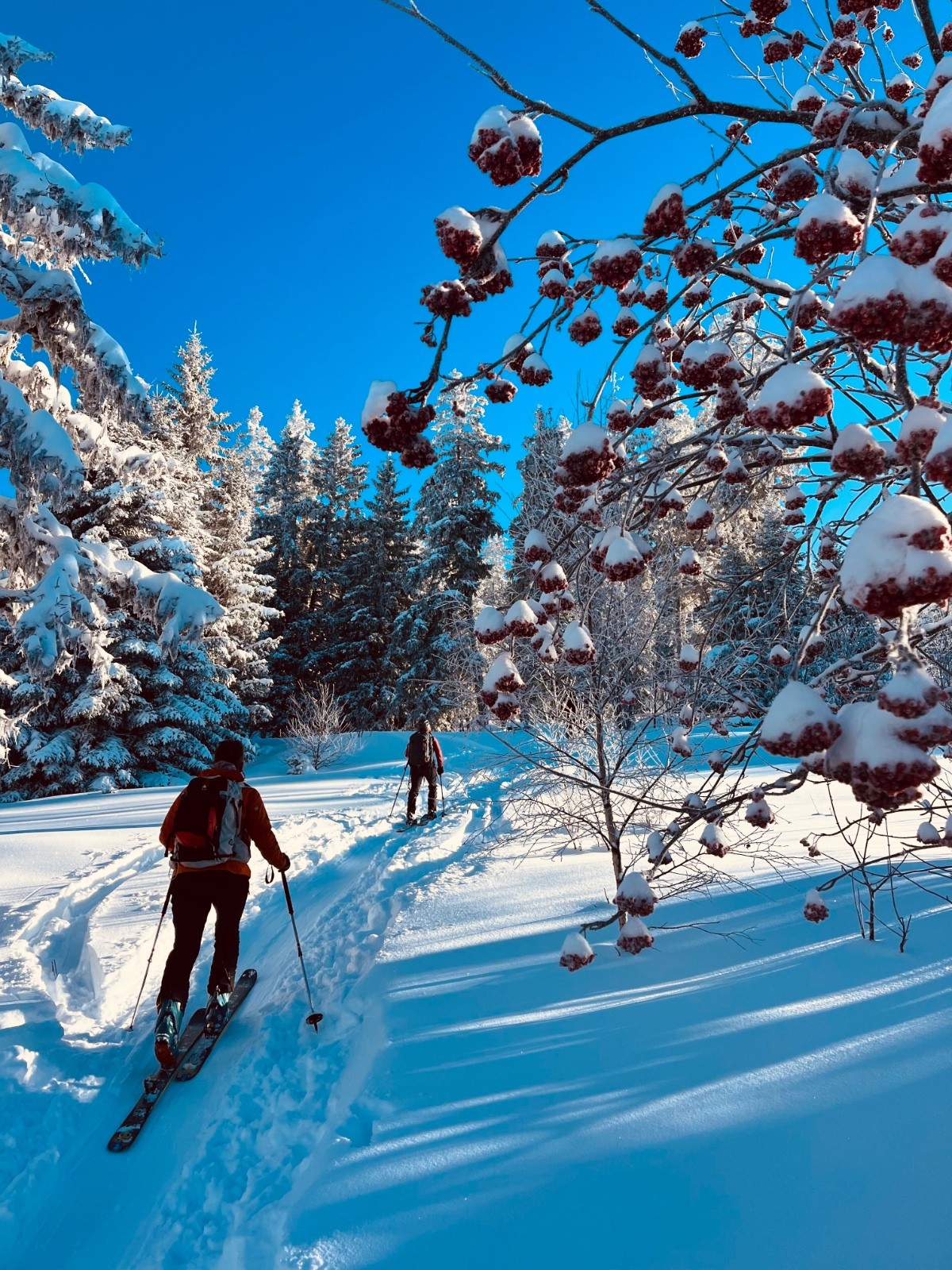&nbsp;Belle ambiance en forêt&nbsp;