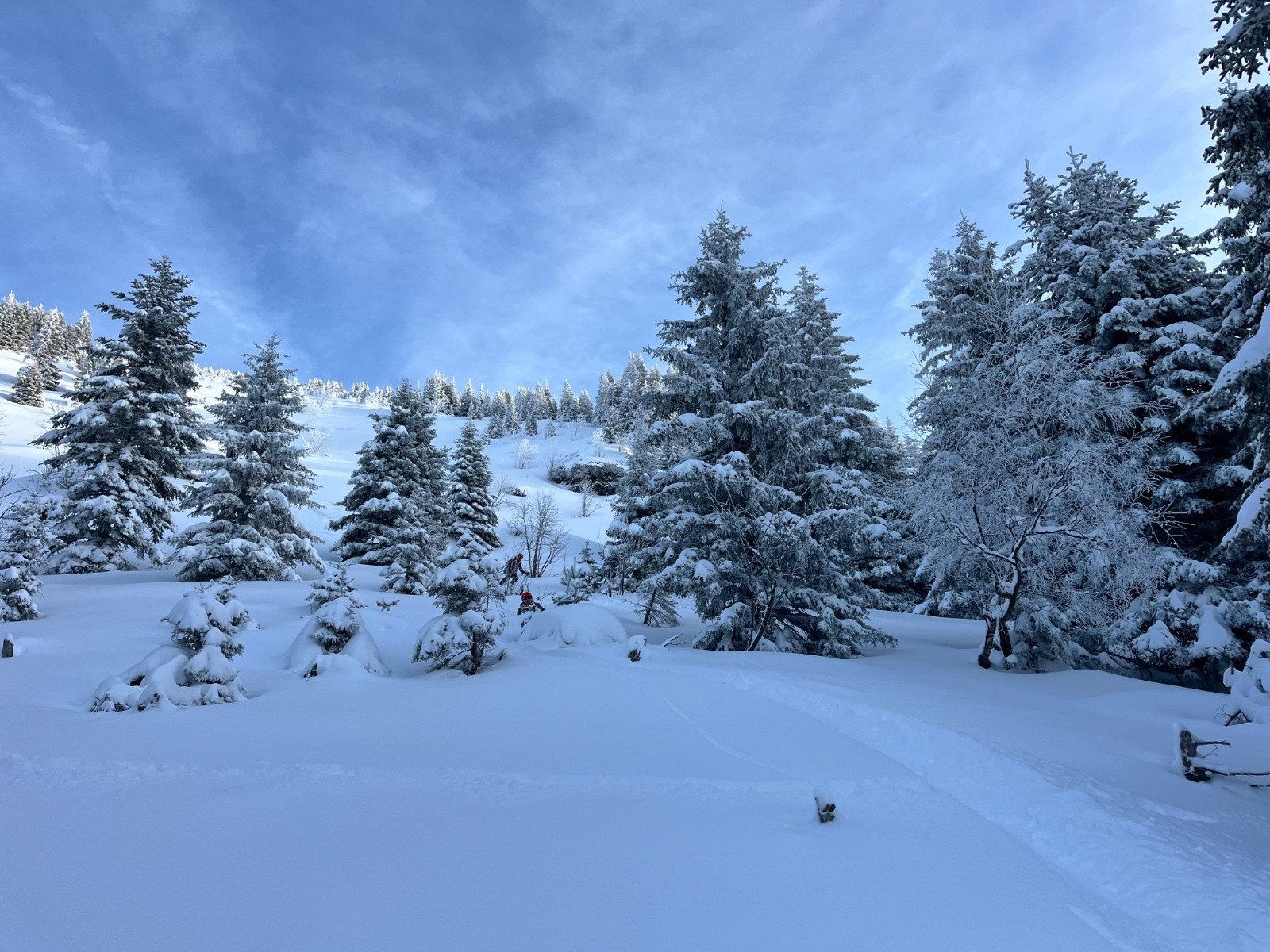 Peuf à gogo!En zoomant on peut y voir un bonhomme de neige…
