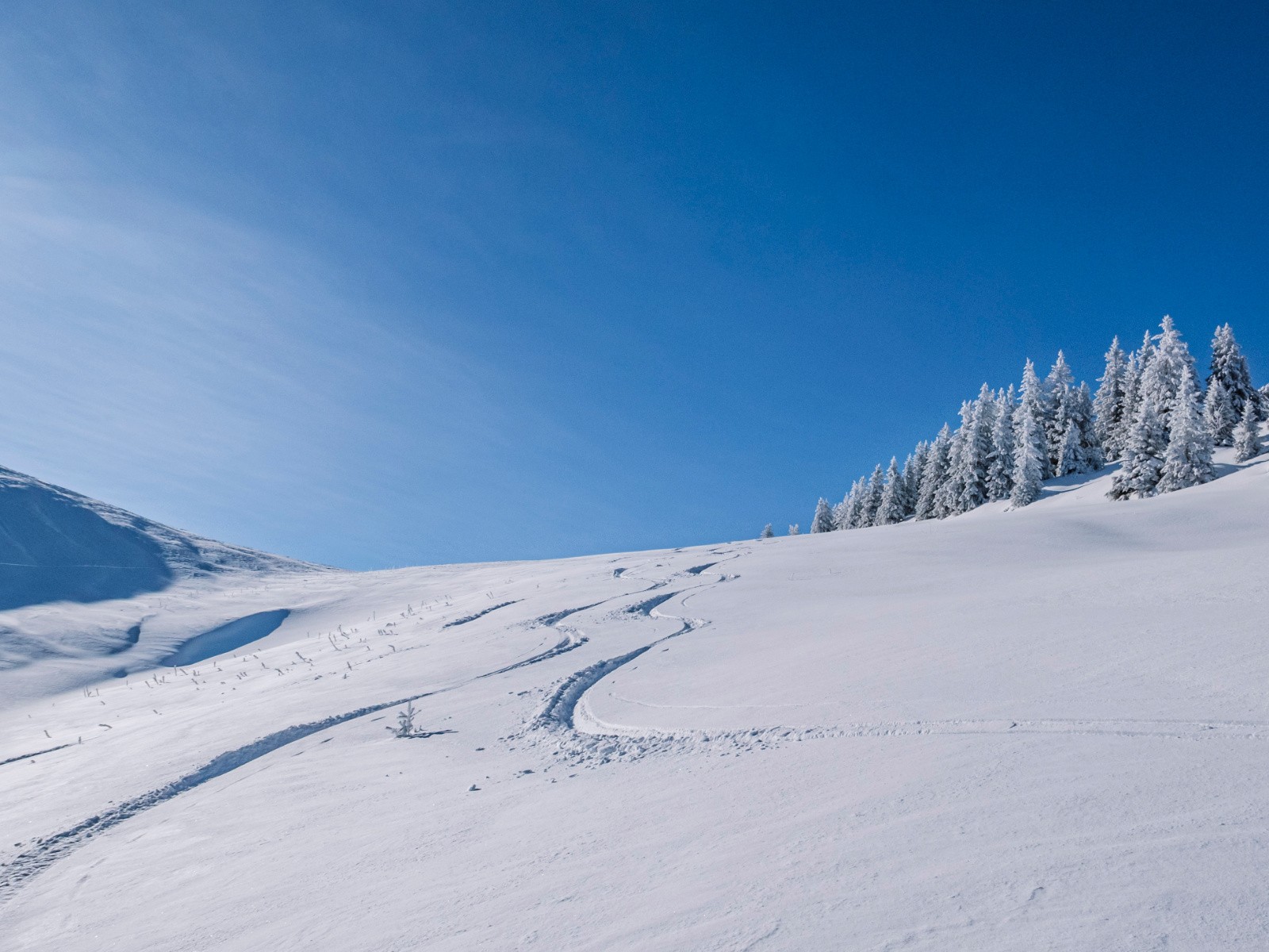 #9 Mauvernay: excellent Mauvernay: excellent