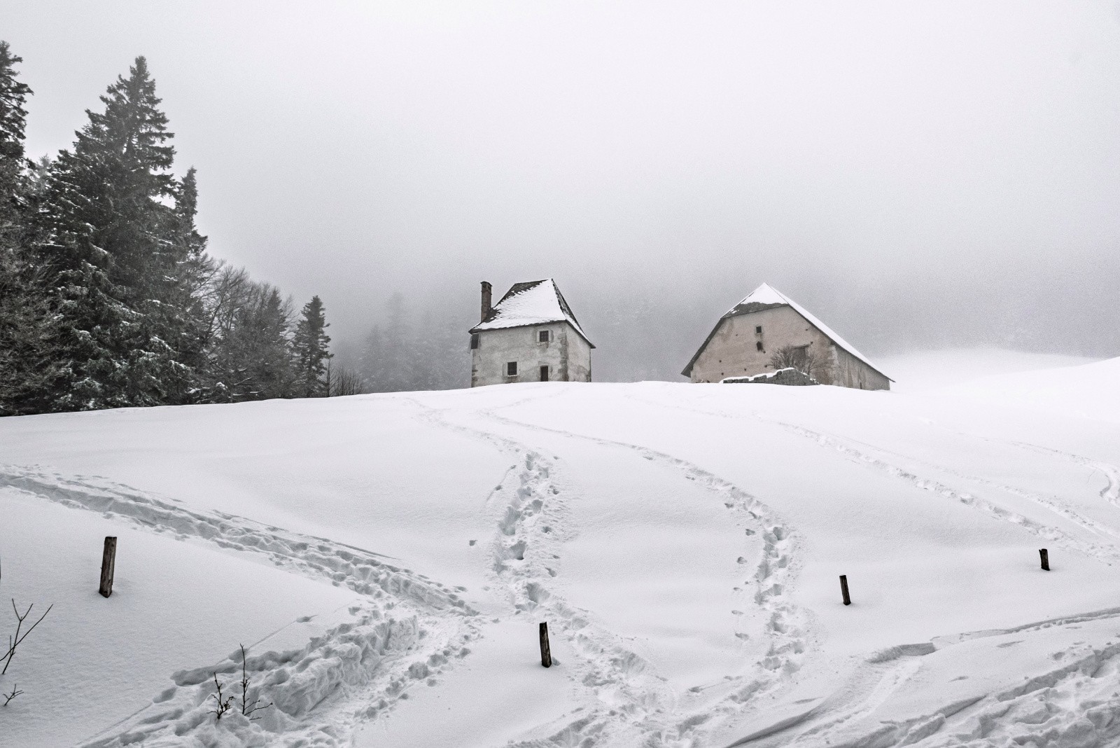 #23 Habert de Billon avant le retour final Habert de Billon avant le retour final
