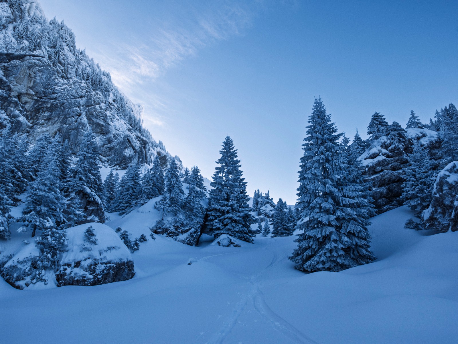 #5 Mauvernay: dans le frigo (ou le congélateur?) Mauvernay: dans le frigo (ou le congélateur?)