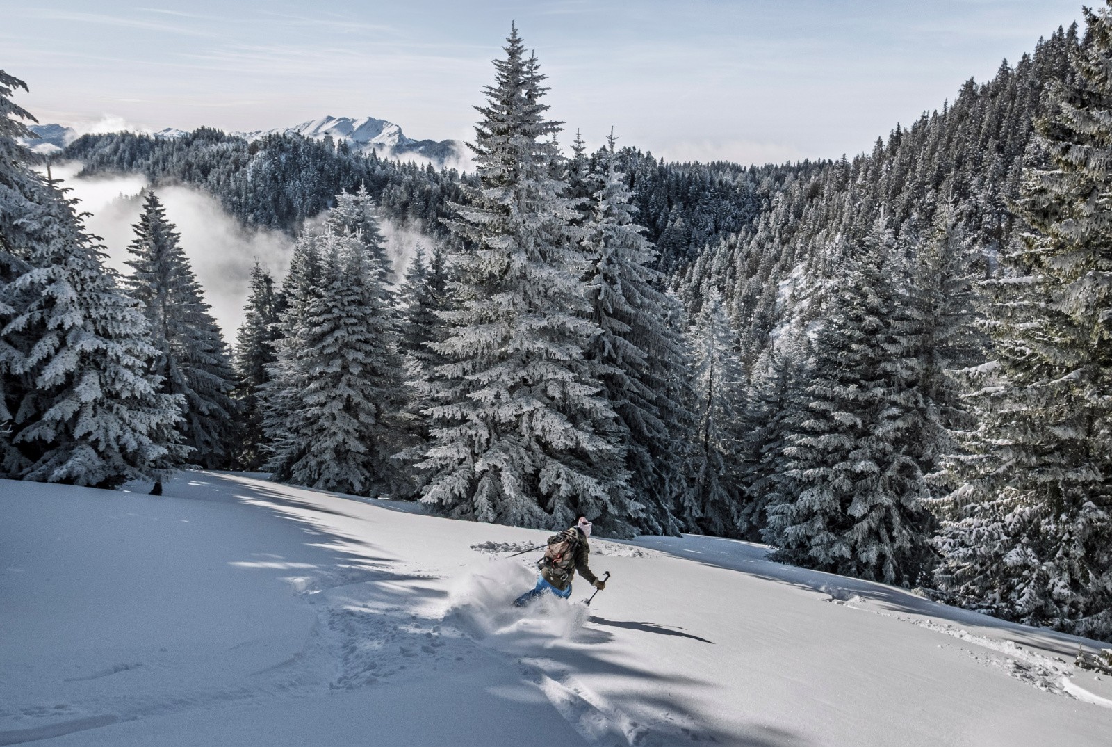 #22 Aliénard: excellentissime! Aliénard: excellentissime!