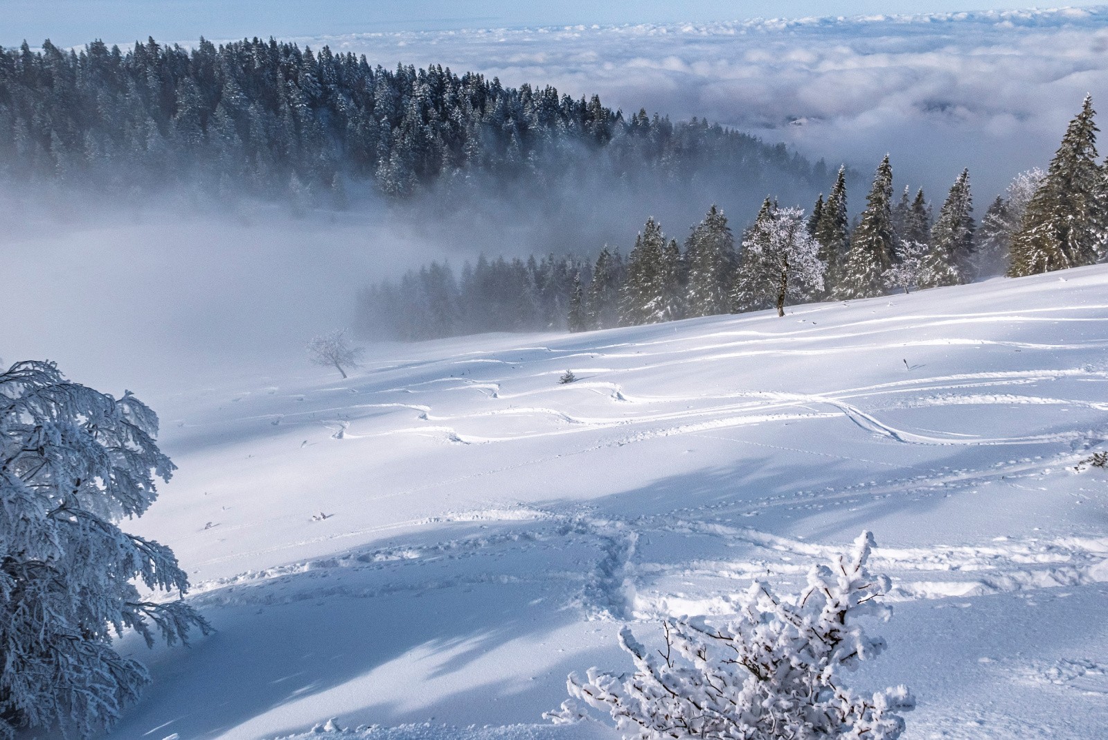 #19 Alpage et col de l Alpage et col de l'aliénard
