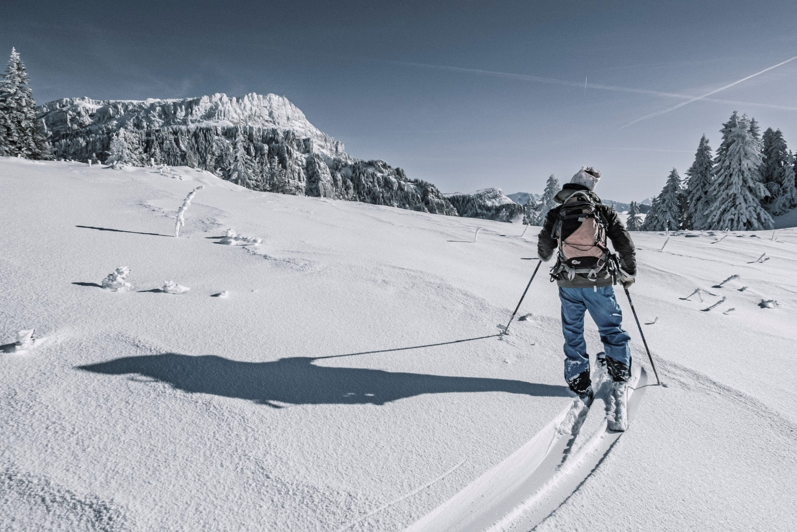 #21 Aliénard: dernier regard vers le grand avant de rentrer Aliénard: dernier regard vers le grand avant de rentrer