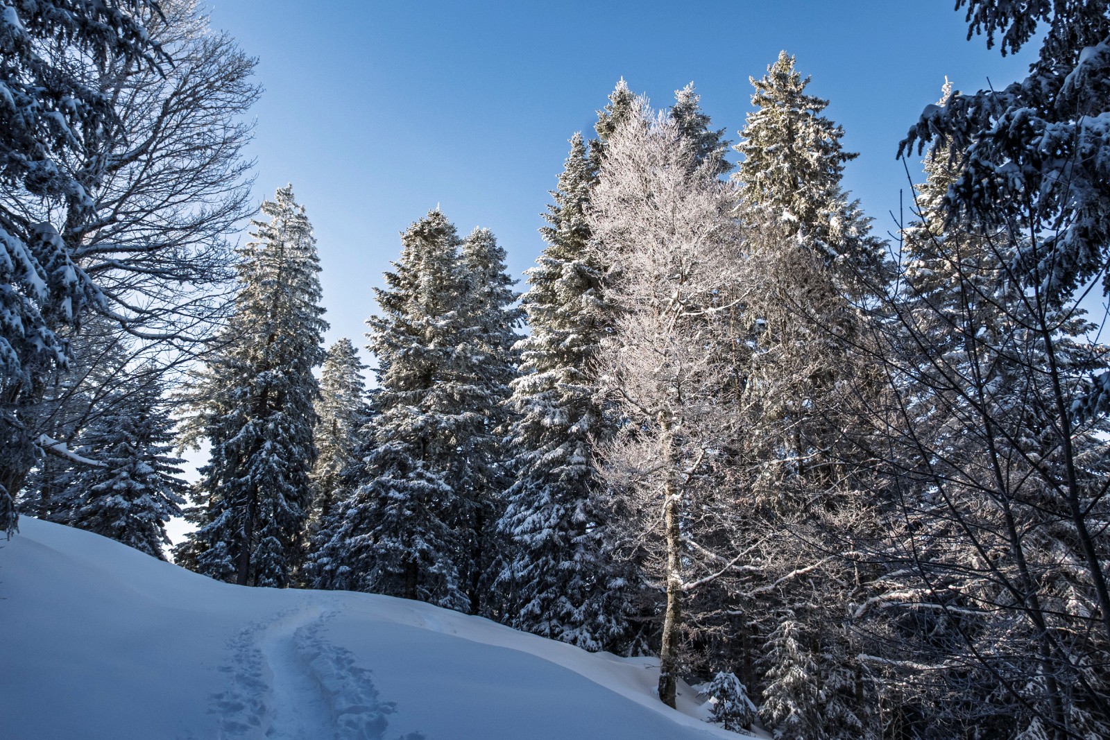 #18 Arrivée au Tracol Arrivée au Tracol