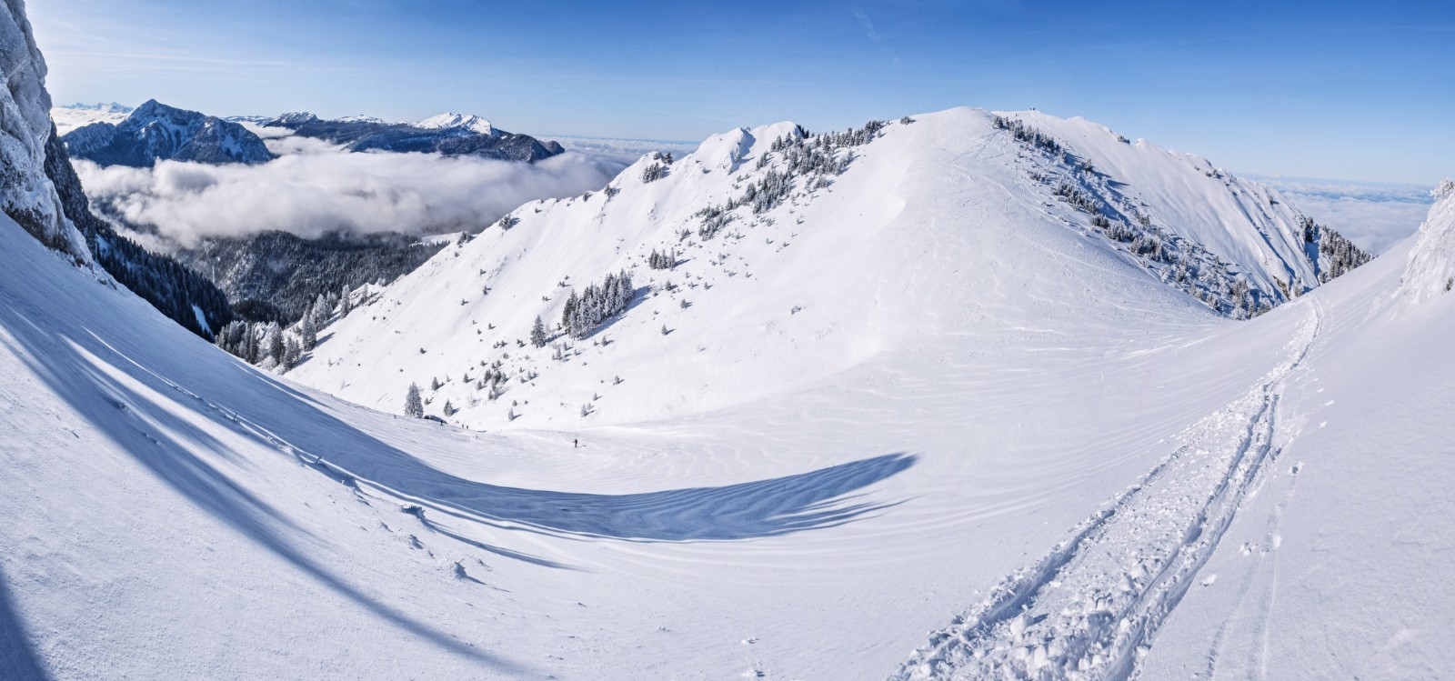 #11 Petit Som: descente à venir le long des arbres Petit Som: descente à venir le long des arbres
