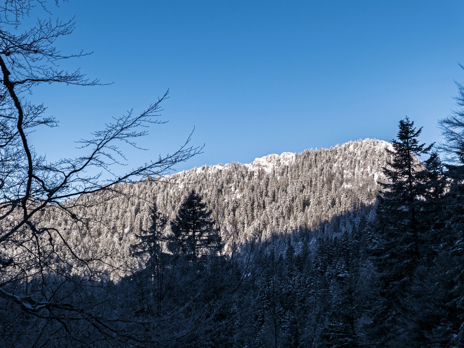 #4 Dernier sommet du jour vu de la première montée Dernier sommet du jour vu de la première montée