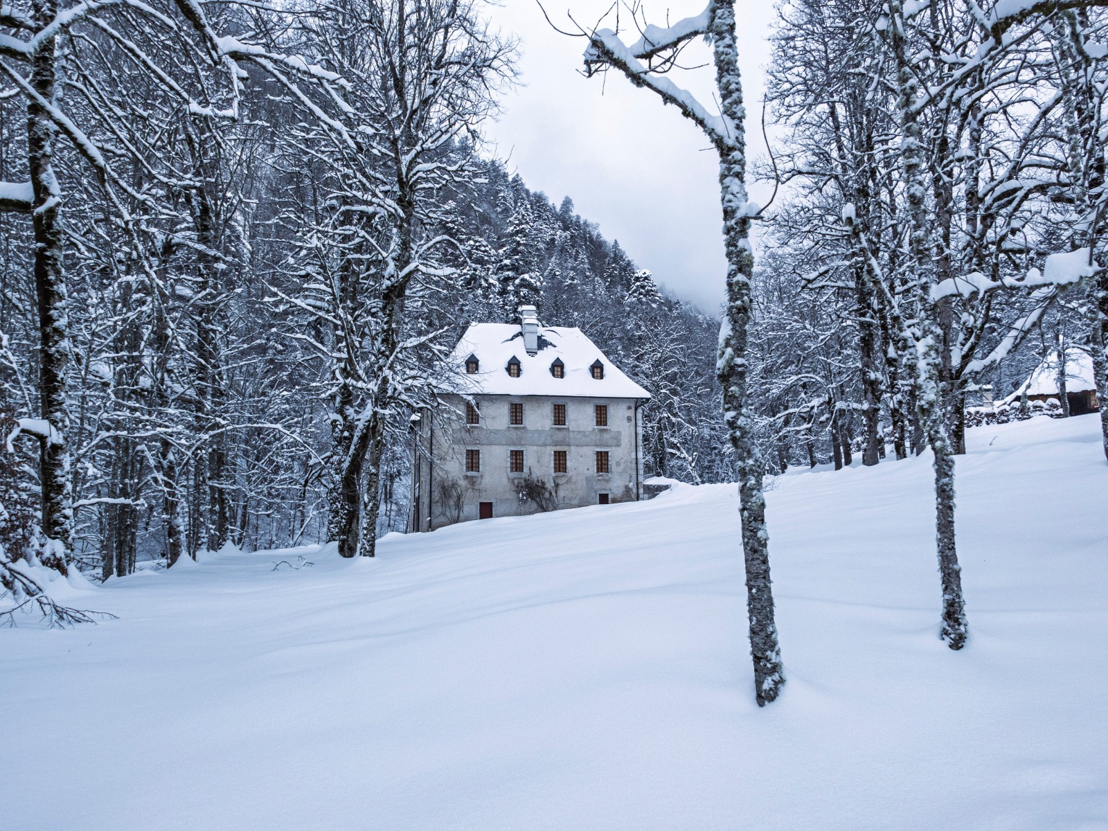 #2 Apparemment pas de visiteurs en ce moment Apparemment pas de visiteurs en ce moment