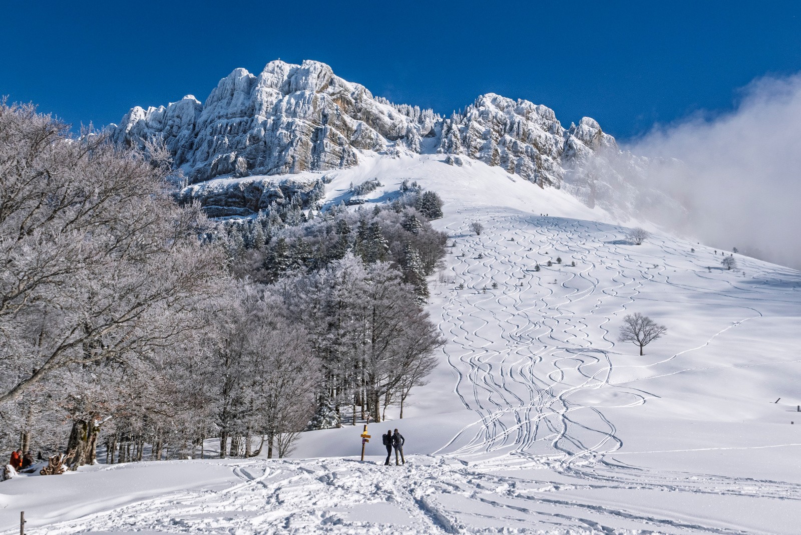 #17 Col de la Ruchère: du monde est déjà passé par là! Col de la Ruchère: du monde est déjà passé par là!