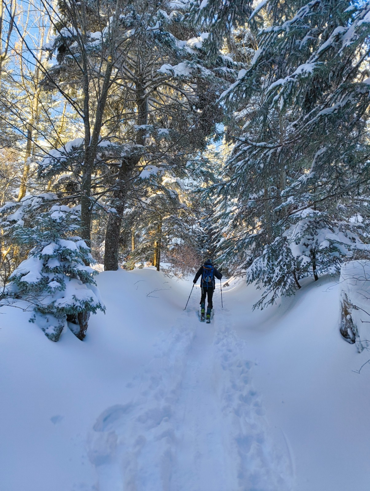 Ici mieux qu'en face&nbsp;