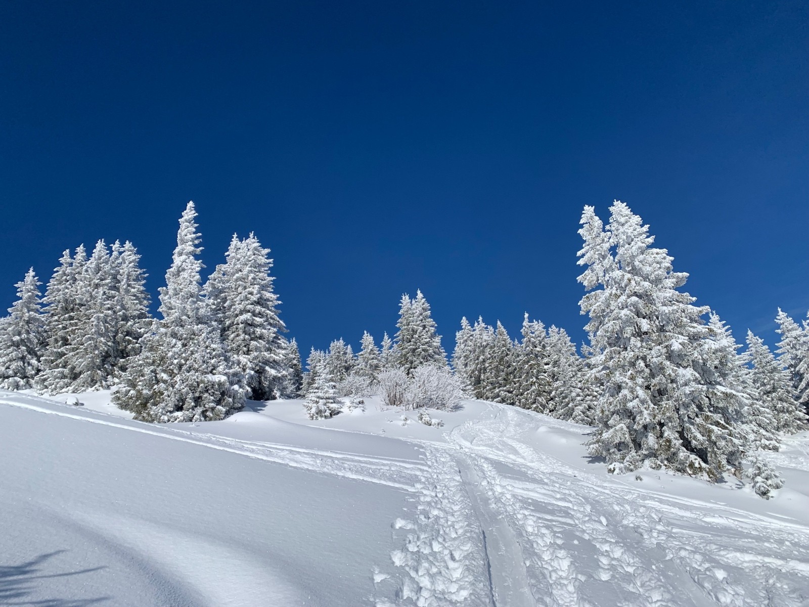 #2 Avant d Avant d'attaquer la dernière partie