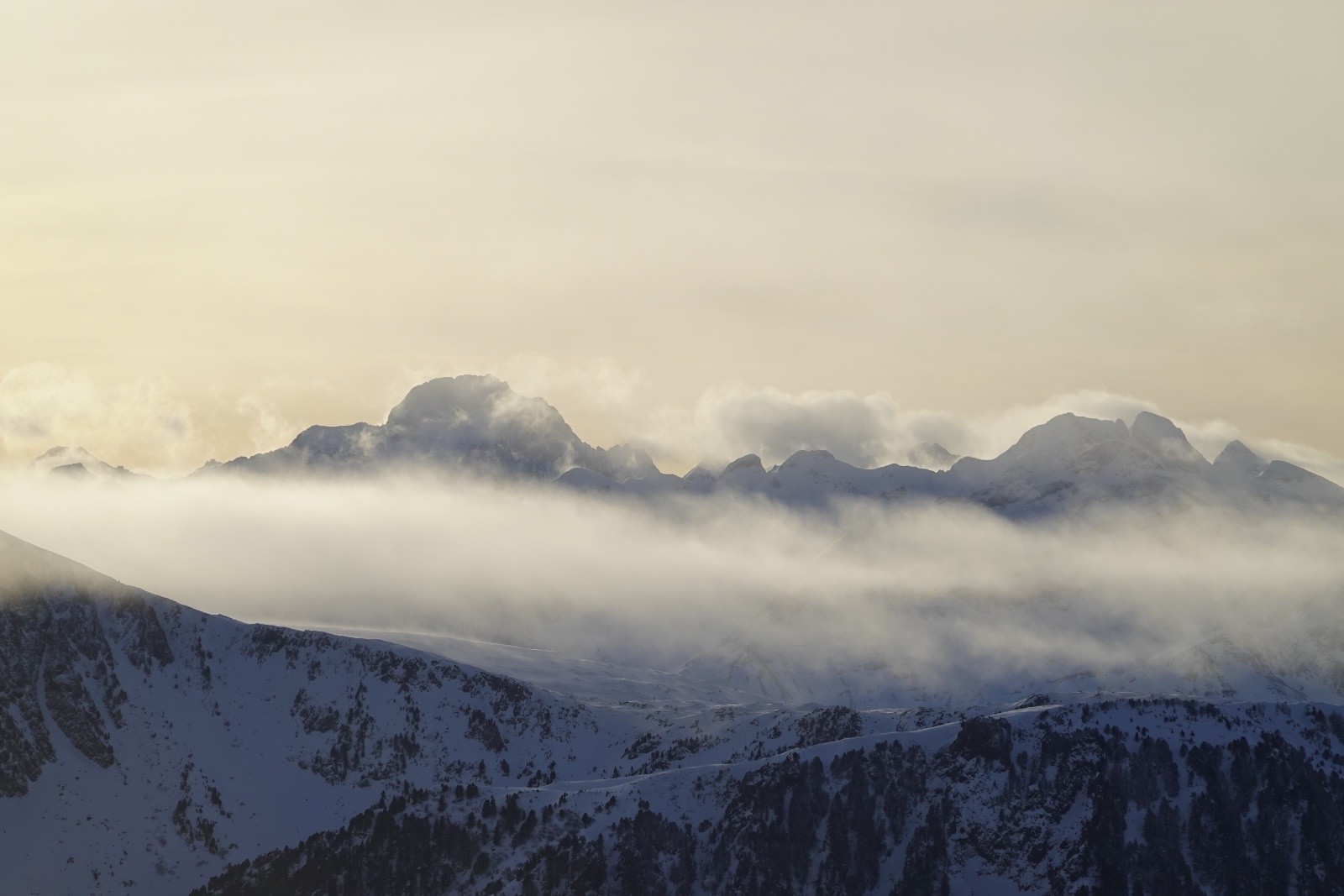 Effort de la Muzelle pour sortir la tête