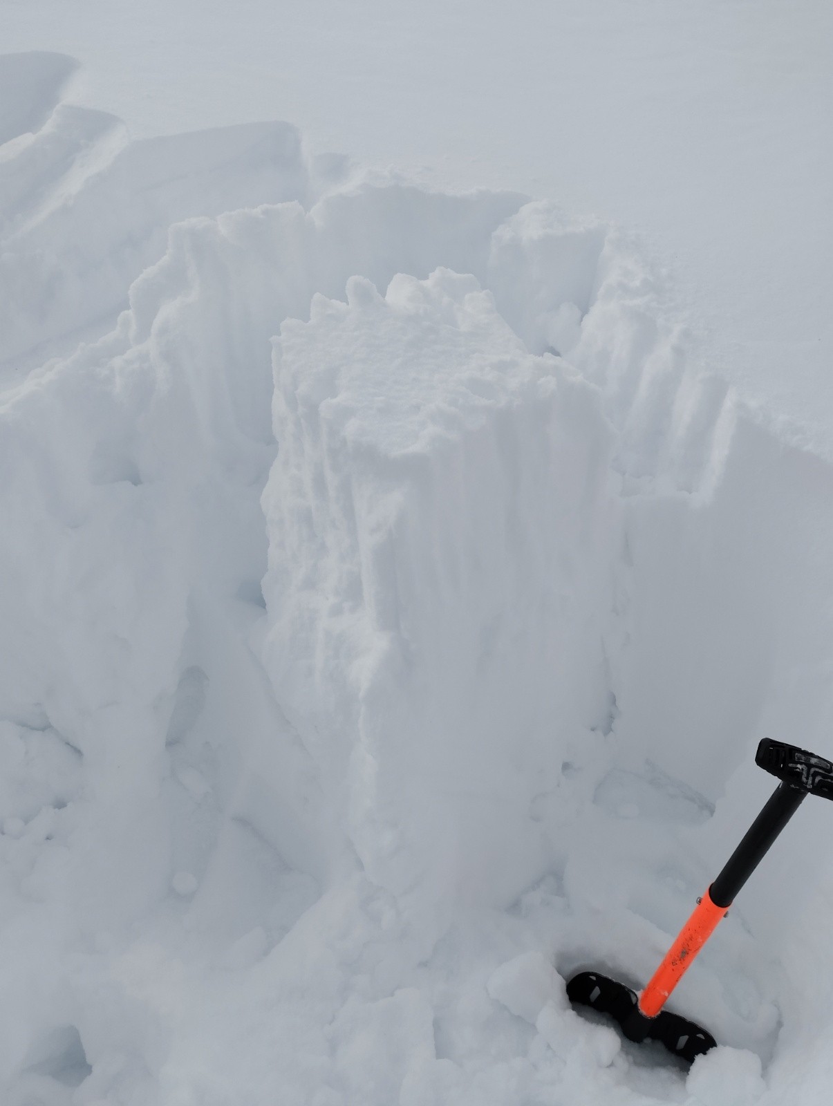 #1 80 cm de neige cohésive sur une couche fragile 80 cm de neige cohésive sur une couche fragile