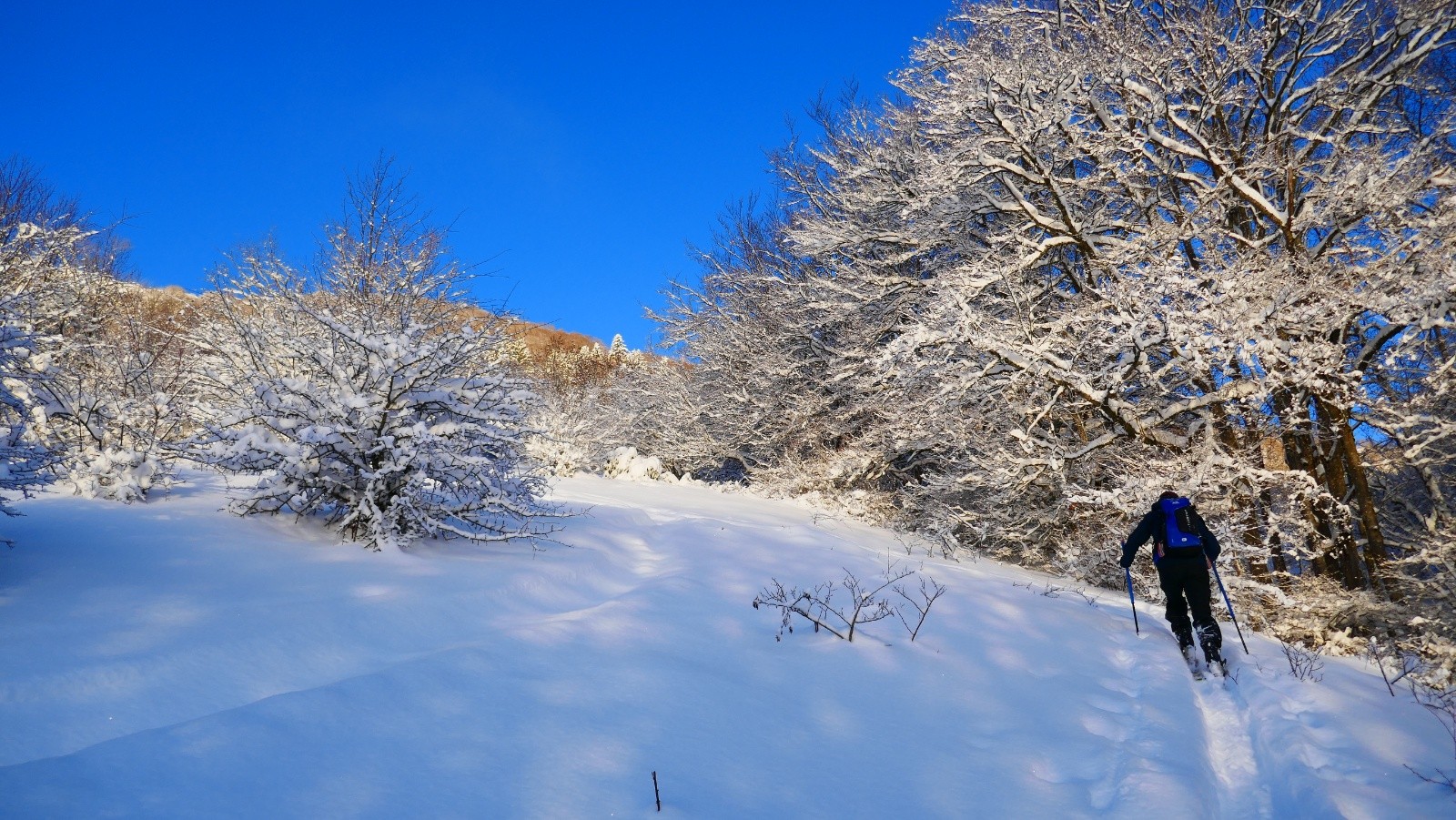 Traçamort action!&nbsp;