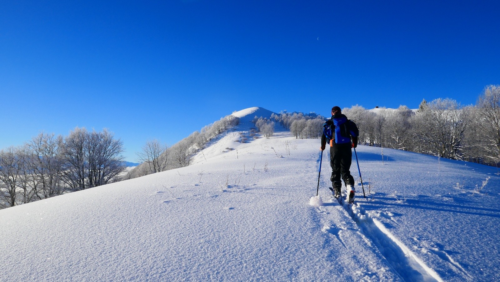 Le but de la visite!