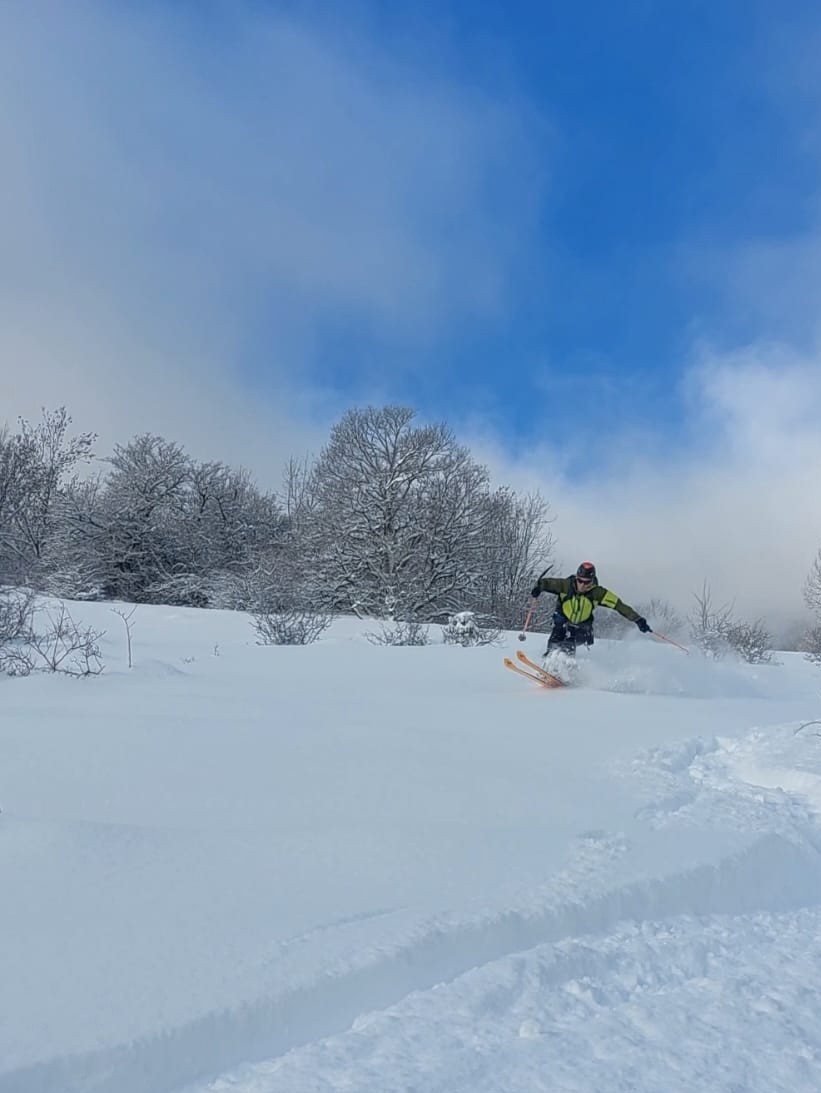 Dahut rebondissant...