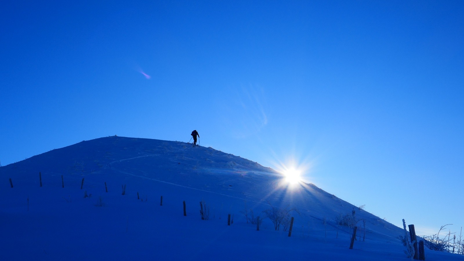 Le Dam's seul au sommet!🤩