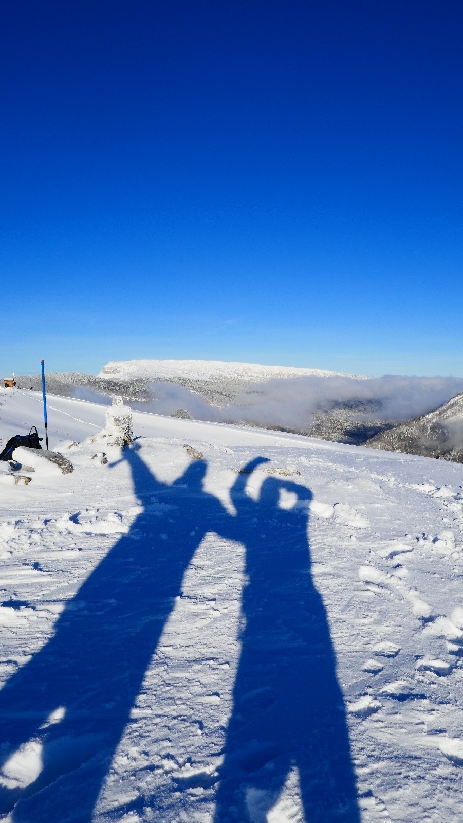 Zinzins du pays Baujus!