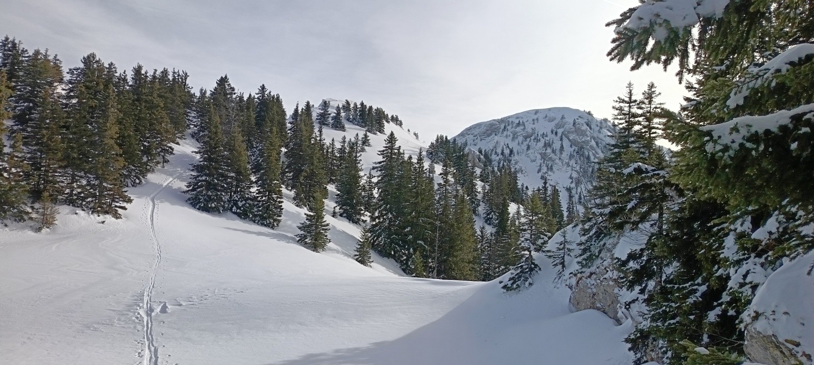 #5 Chamechine, Charmant Som au second plan Chamechine, Charmant Som au second plan