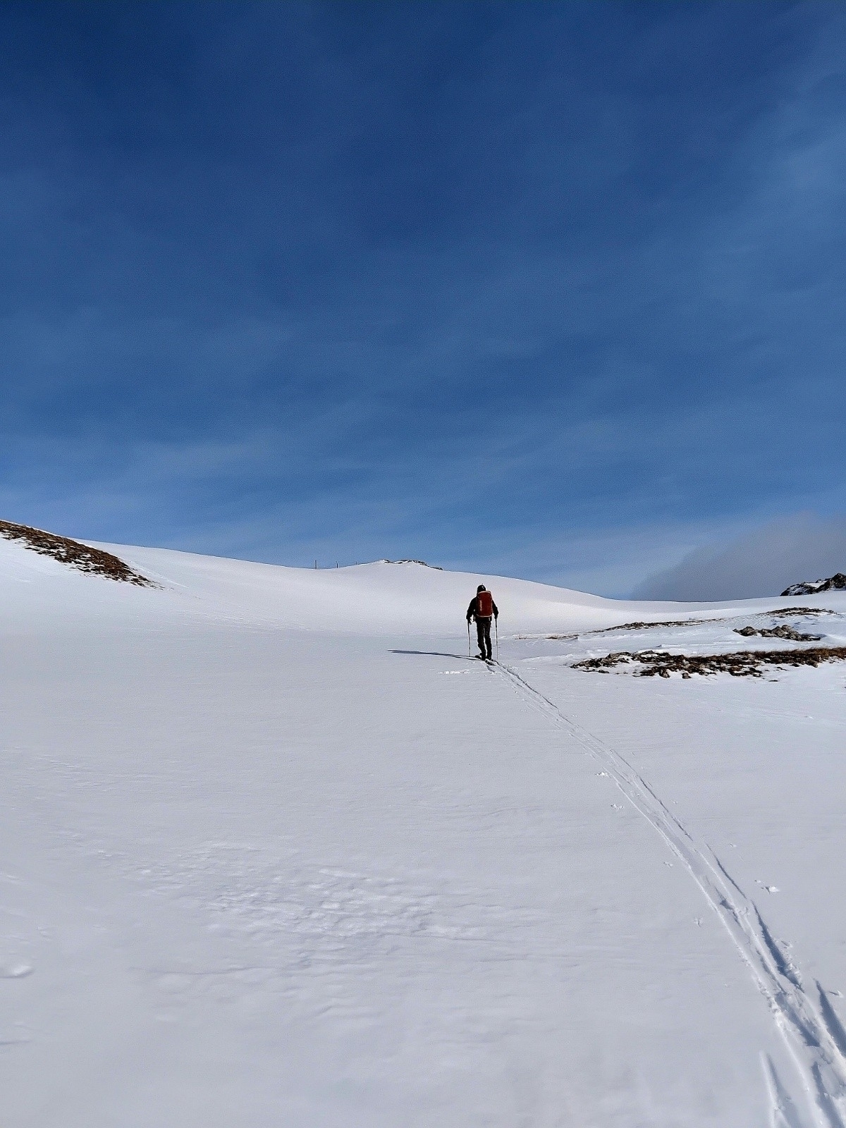 &nbsp;Leo au plateau