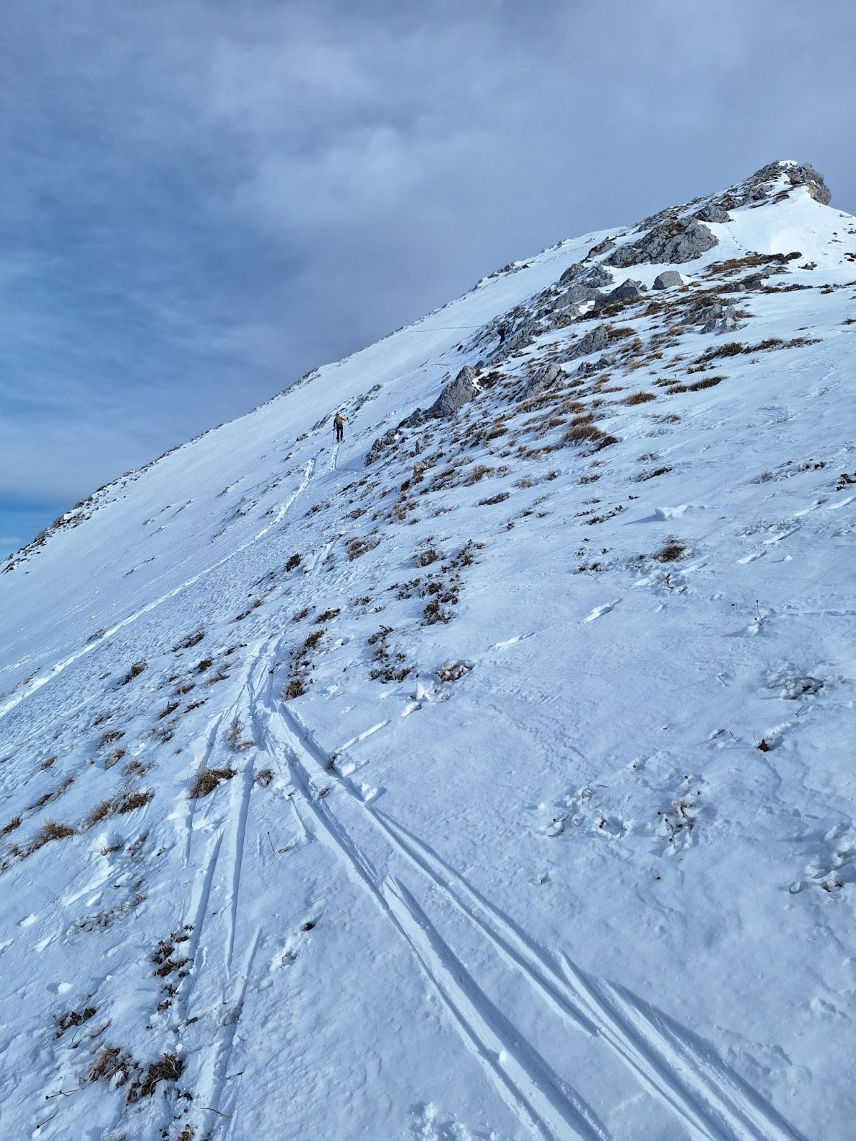 arête Sud, un peu d'herbe&nbsp;