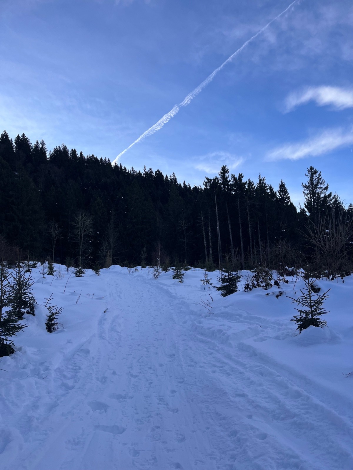 Sur le chemin avant le biathlon&nbsp;