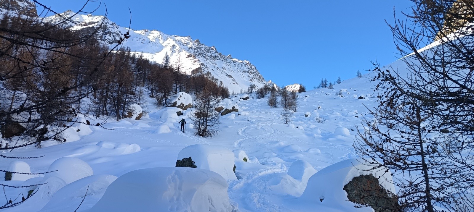 &nbsp;Fin du mélezin