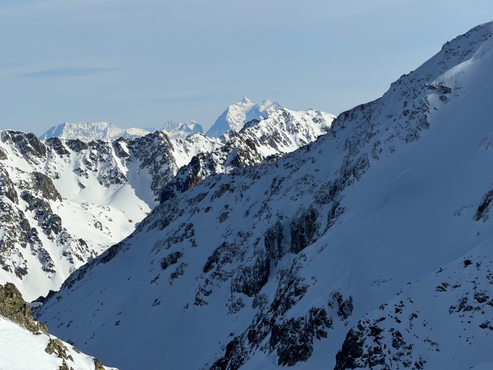 On te voit, le chat !&nbsp;