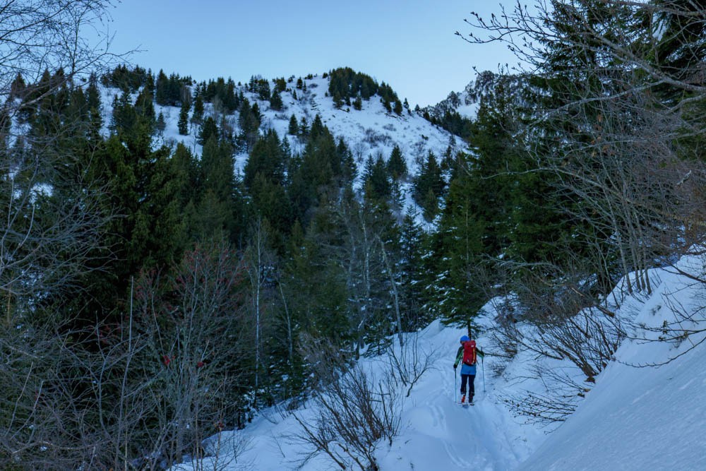 la forÃªt du Gargoton