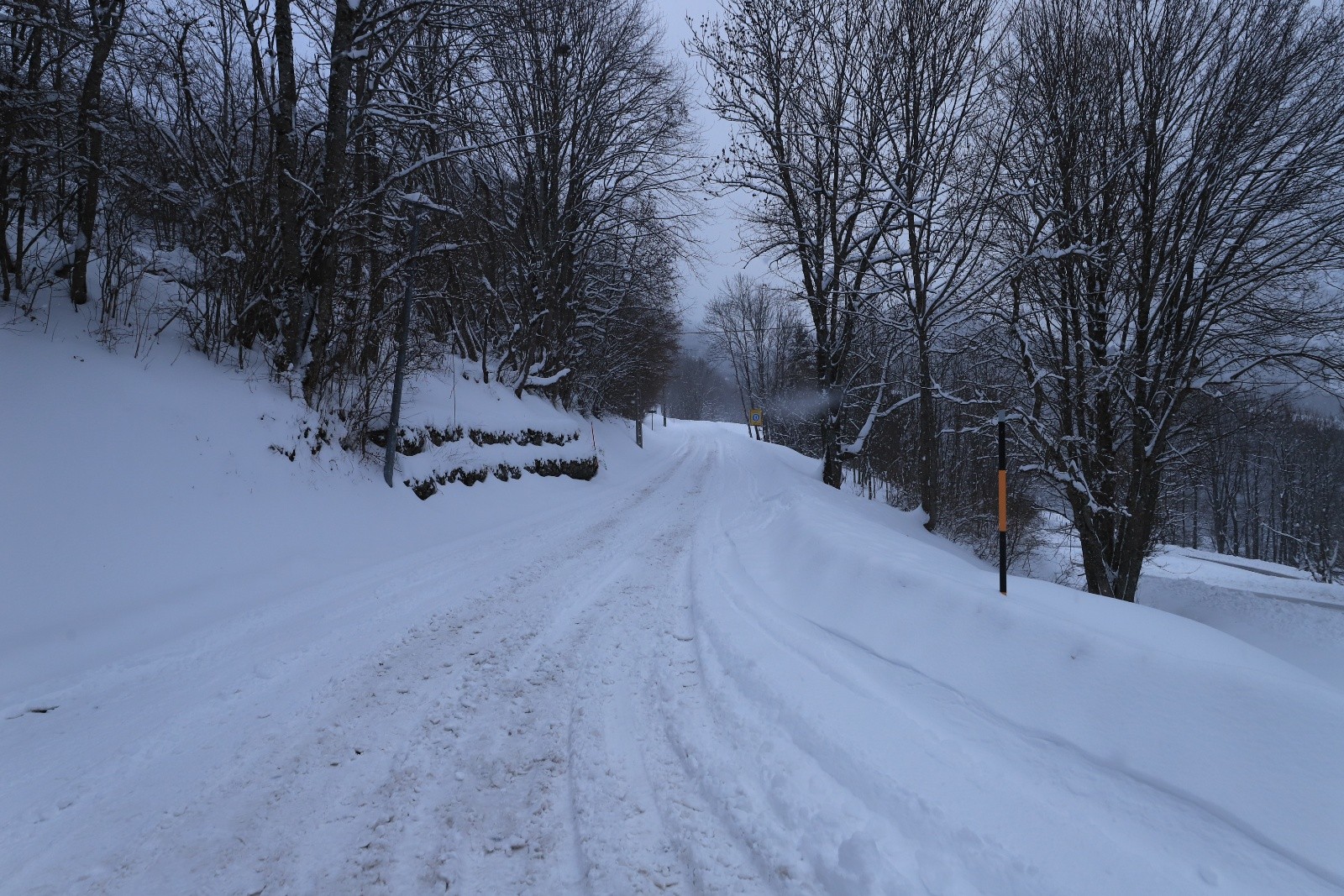 &nbsp;La Route du Col du Coq, très enneigée!