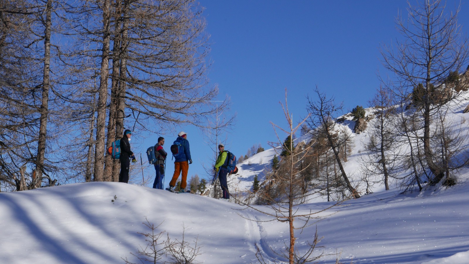 Au sortir de la forêt.