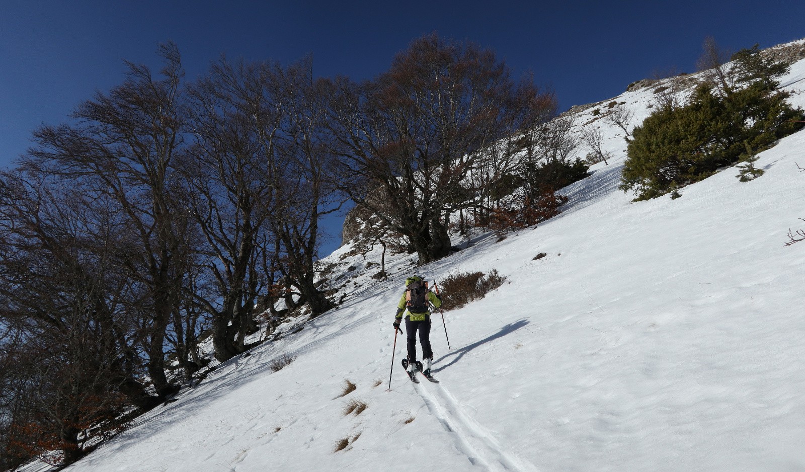 Conditions primtanières&nbsp;